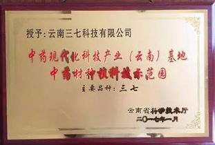 集团旗下三七科技荣膺中药材领域两项权威认定，技术咨询助力中草药产业高质量发展