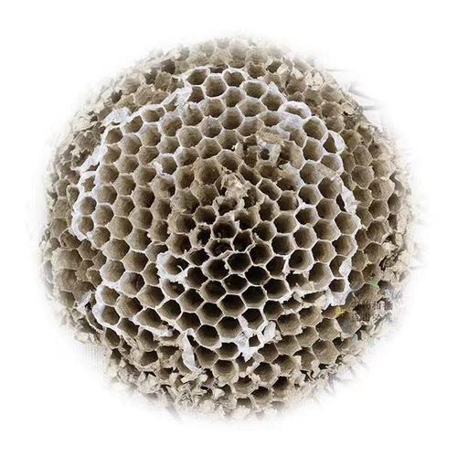 野生蜂房市场行情与中草药科技应用分析